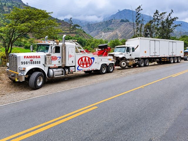 Grúa pesada con rotador de Grúas Triple A