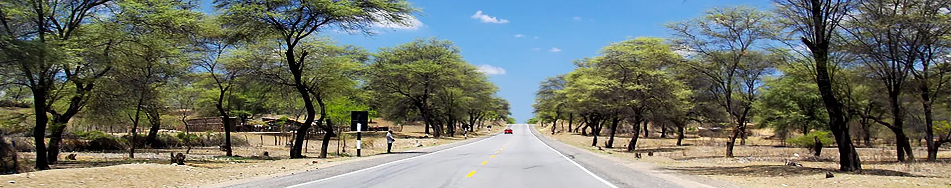 cobertura tripleaa cabezal